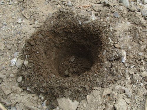 ハンドオーガ 掘削 掘削ツールス 土壌調査