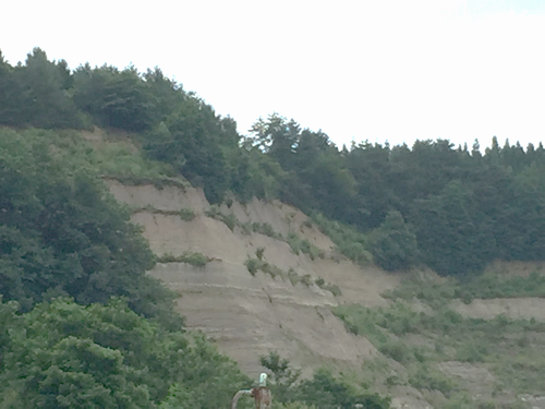 地層水平堆積の法則