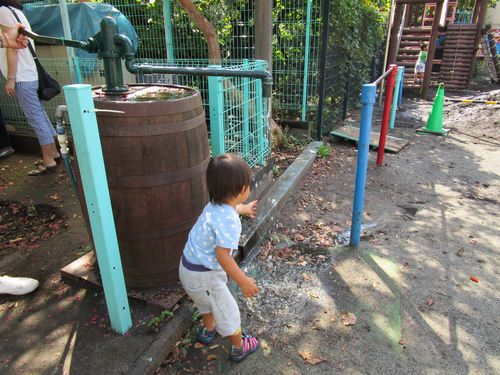 たるぽん ドレーパー記念幼稚園 かっぱポンプ　幼稚園 水遊び