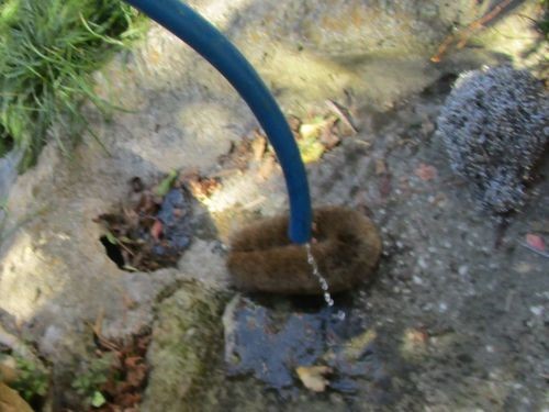 井戸 ポンプ 修理