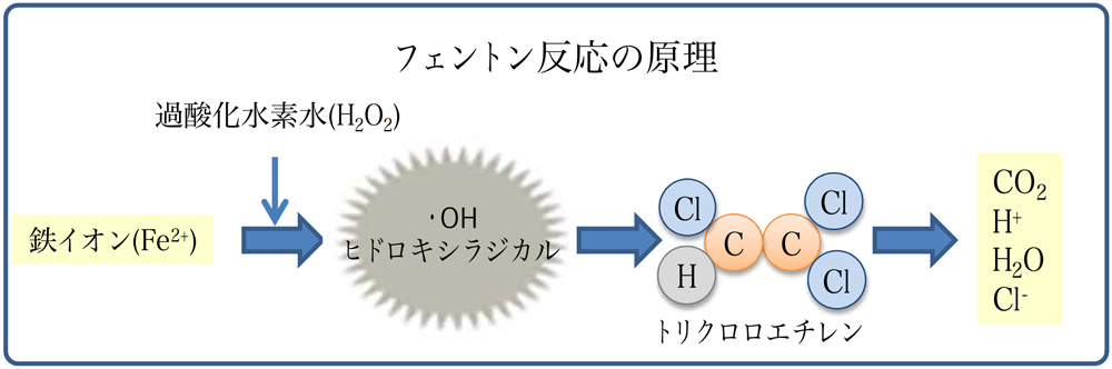 フェントン法とは｜株式会社セロリ